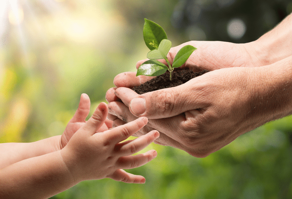 Eine menschliche Hand hält einen kleinen Pflanze mit Wurzeln, während eine Kinderhand danach greift, vor einem unscharfen grünen Hintergrund.