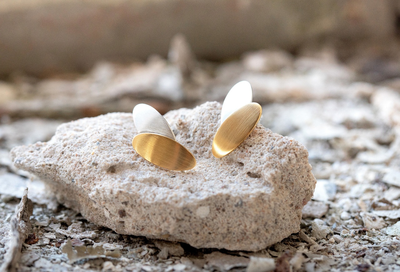 Auf einem grauen Stein liegen zwei Ohrringe, einer aus silbernem und der andere aus goldenem Metall, beide mit ovaler Form und glänzender Oberfläche.